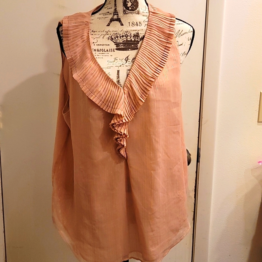 Ann Taylor XL ruffle v neck blouse